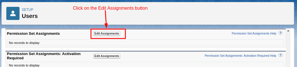 User permission Set Assignments