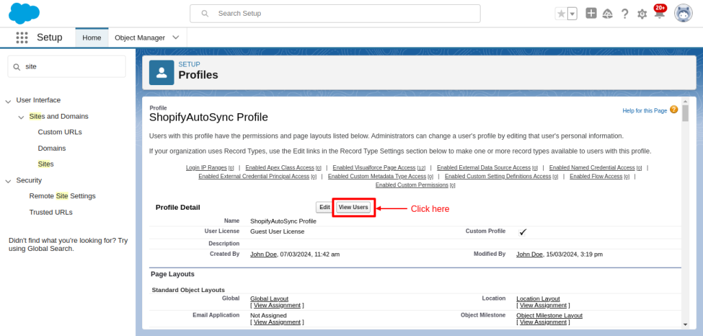 salesforce site view user