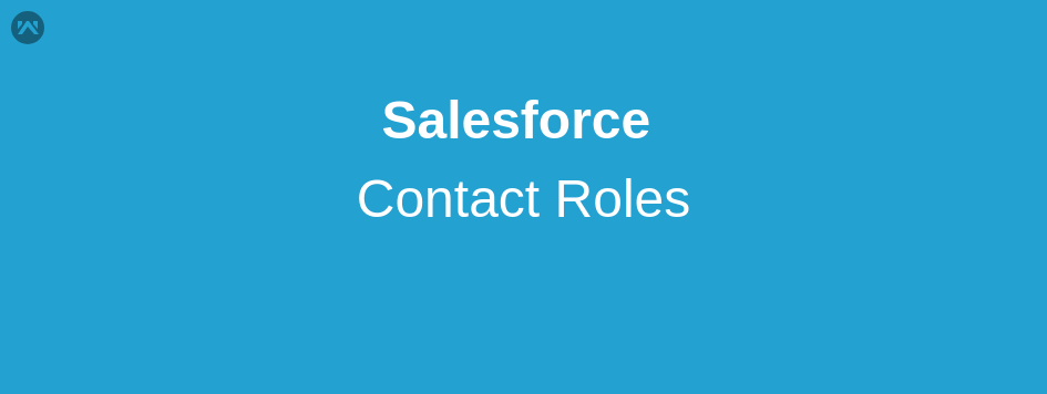 Contact Roles In Salesforce