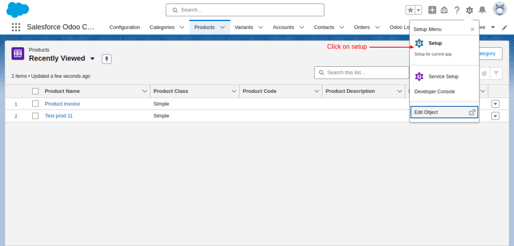salesforce setup