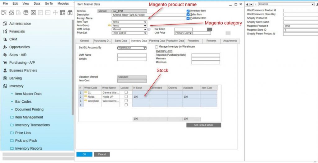 Magento 2 SAP B1 Connector Installation And Setup | User Guide