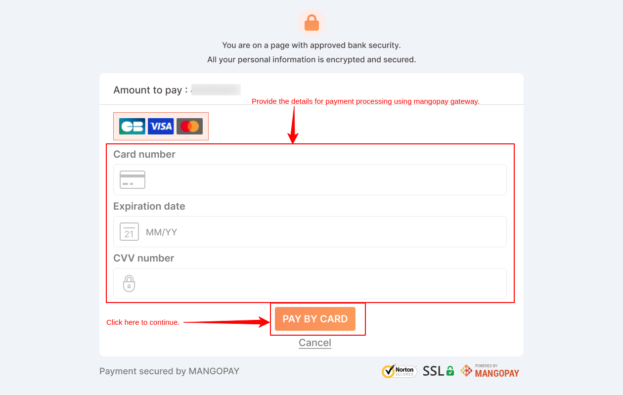 Payment page shown to user
