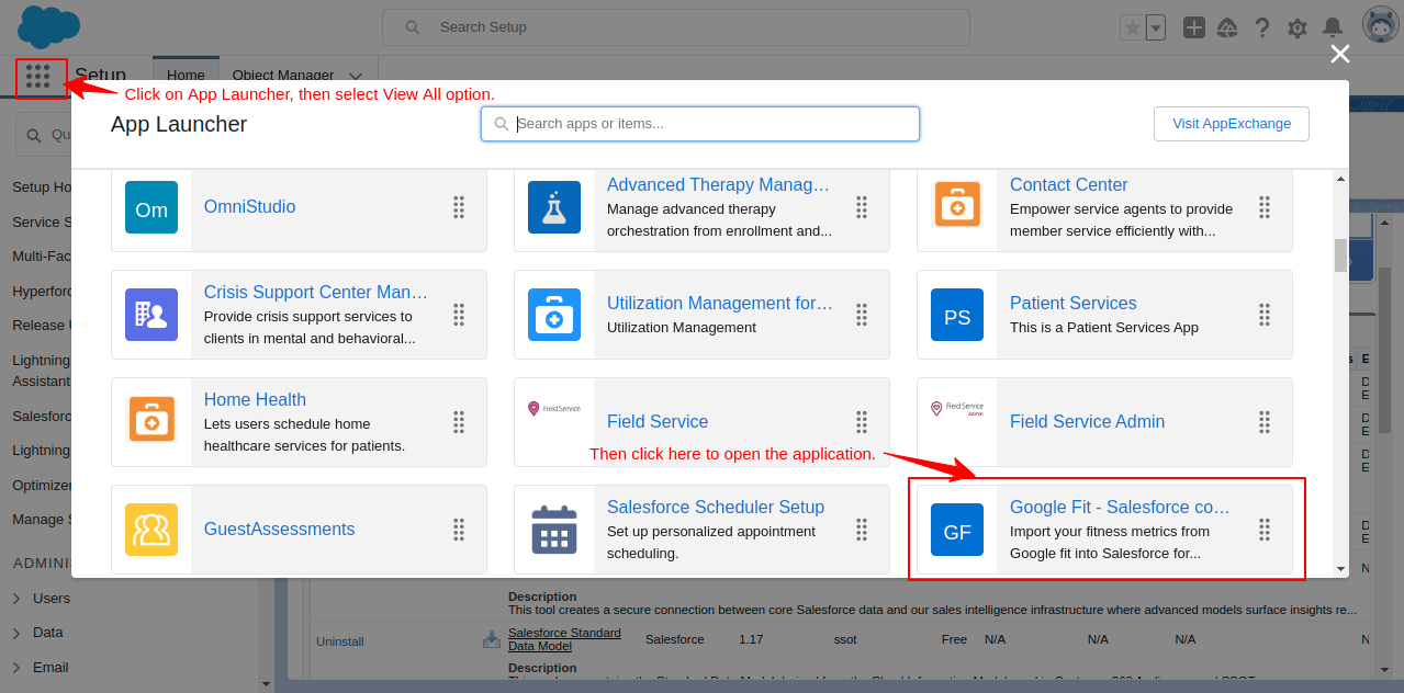 App launcher in Salesforce Health cloud Org to open application