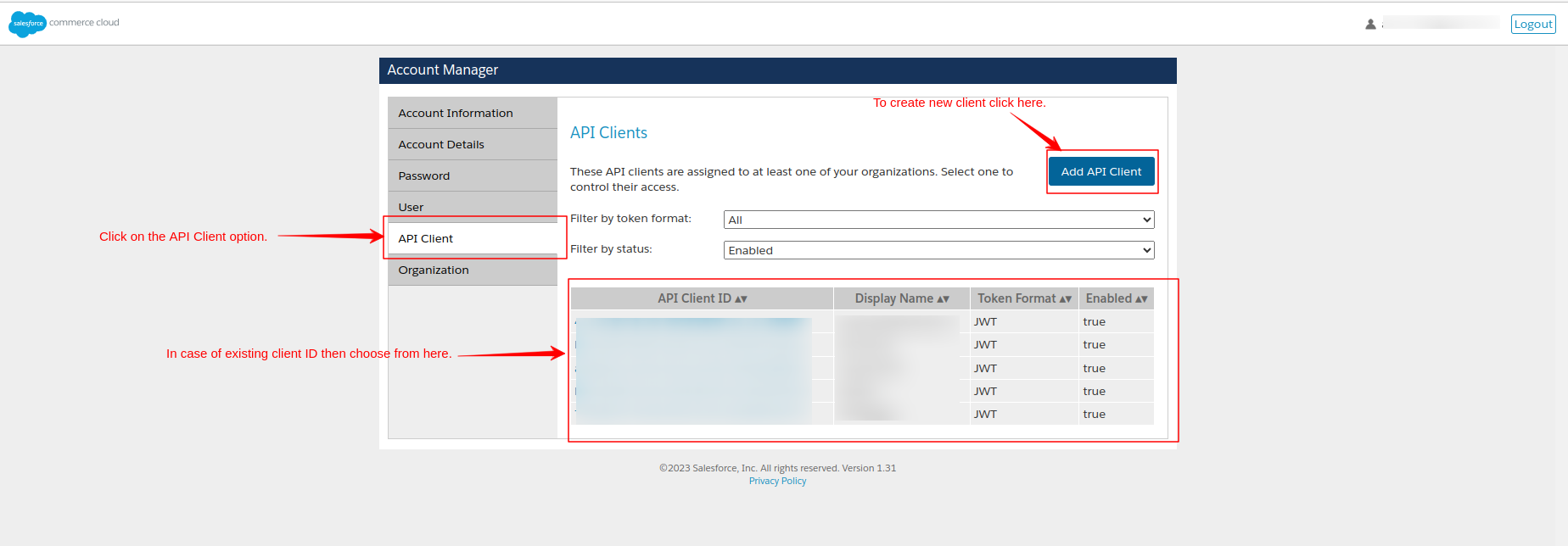 Select API client or create new one